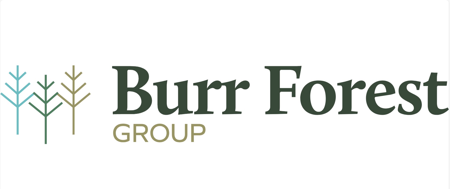 Burr Forest Group